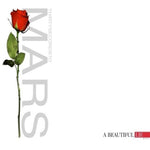 Thirty Seconds To Mars - A Beautiful Lie