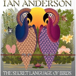 Ian Anderson - The Secret Language Of Birds