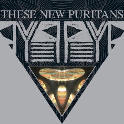 These New Puritans - Beat Pyramid