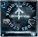 Lynyrd Skynyrd - Vicious Cycle