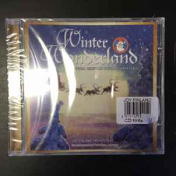 Joy Finland Orchestra - Winter Wonderland