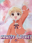 Fruits Basket 6