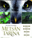 Metsän Tarina