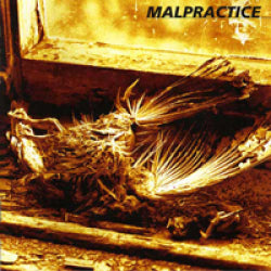 Malpractice - Of Shape and Balance