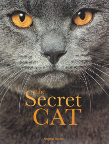 Angela Rixon - The Secret Cat