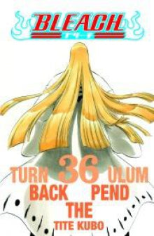 Tite Kubo - Bleach 36