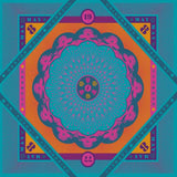 Grateful Dead - Cornell 5/8/77