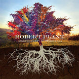 Robert Plant - Digging Deep - Subterranea