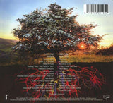 Robert Plant - Digging Deep - Subterranea