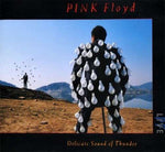 Pink Floyd - Delicate Sound Of Thunder - Live