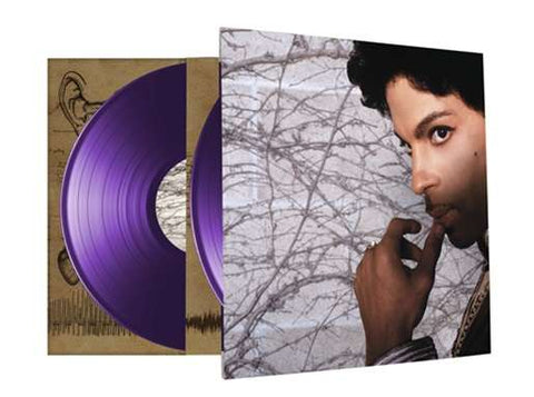 Prince - Musicology