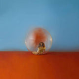 Alessia Cara - In The Meantime