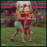 elbow - Flying Dream 1
