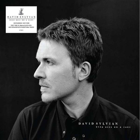 David Sylvian - Dead Bees On A Cake