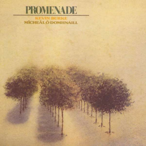 Kevin Burke - Promenade