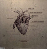 Katatonia - The Fall Of Hearts