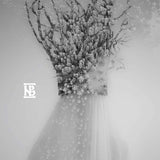 Negură Bunget - Zau