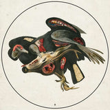 Clutch - Book Of Bad Decisions