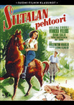 Suomi-filmi: Siltalan Pehtoori 1953