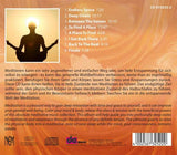 Quiet Force - Absolute Meditation