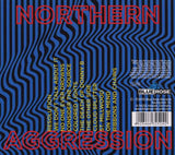 Steve Wynn - Northern Aggression