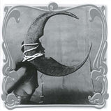 Ghost Bath - Moonlover