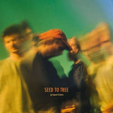 Seed To Tree - Proportions