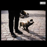 EA 80 - Schweinegott