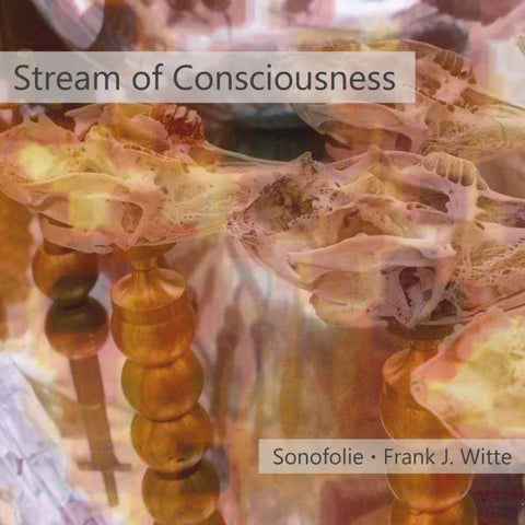 Sonofolie - Stream Of Consciousness
