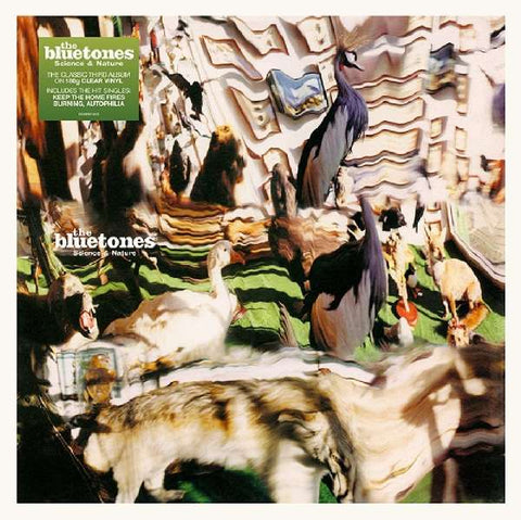 The Bluetones - Science & Nature