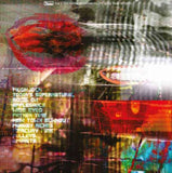 Animal Collective - Centipede HZ