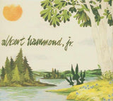 Albert Hammond Jr - Yours To Keep