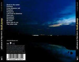 David Gray - A New Day At Midnight
