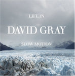 David Gray - Life In Slow Motion