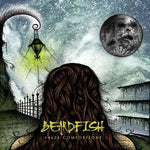 Beardfish - + 4626 - Comfortzone