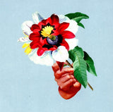 Maribou State - Kingdoms In Colour