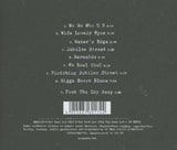 Nick Cave & The Bad Seeds - Push The Sky Away