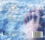 Neil Finn - Dizzy Heights