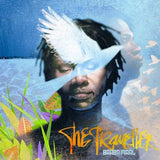 Baaba Maal - The Traveller