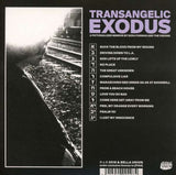 Ezra Furman - Transangelic Exodus