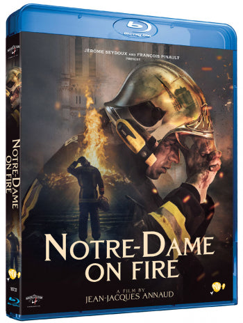 Notre-dame On Fire