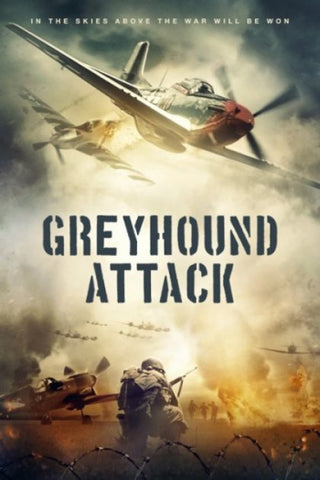 Greyhound Attack