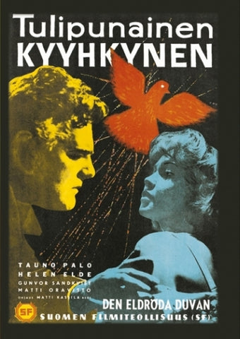 Tulipunainen Kyyhkynen