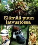 Bbc Earth  Elämää Puun Latvustossa