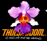 Thulsa Doom - A Keen Eye For The Obvious