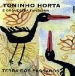 Toninho Horta - Terra Dos Passaros