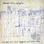 Sweet Billy Pilgrim - We Just Did What Happened And No One Came