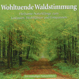 Wohltuende Waldstimmung