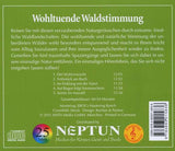 Wohltuende Waldstimmung