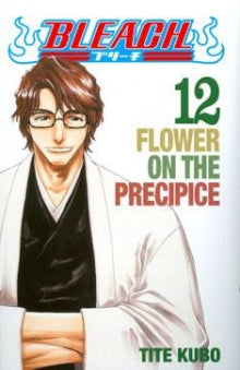 Tite Kubo - Bleach. 12